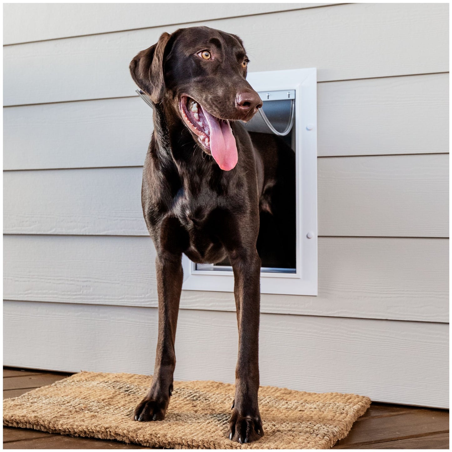 PetSafe® Wall Entry Pet Door - DIY Installation - Includes Telescoping Tunnel Small