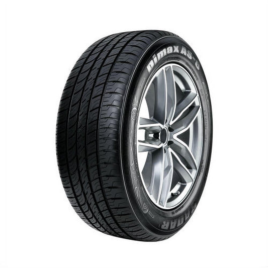 Radar Dimax AS-8 All-Season 215/70R16 104V Tire