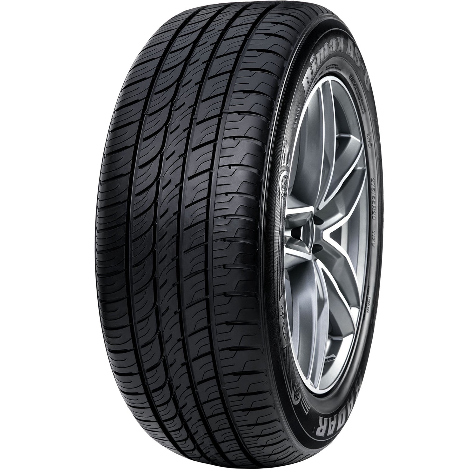 Radar Dimax AS-8 All Season 225/60R18 104W XL Passenger Tire