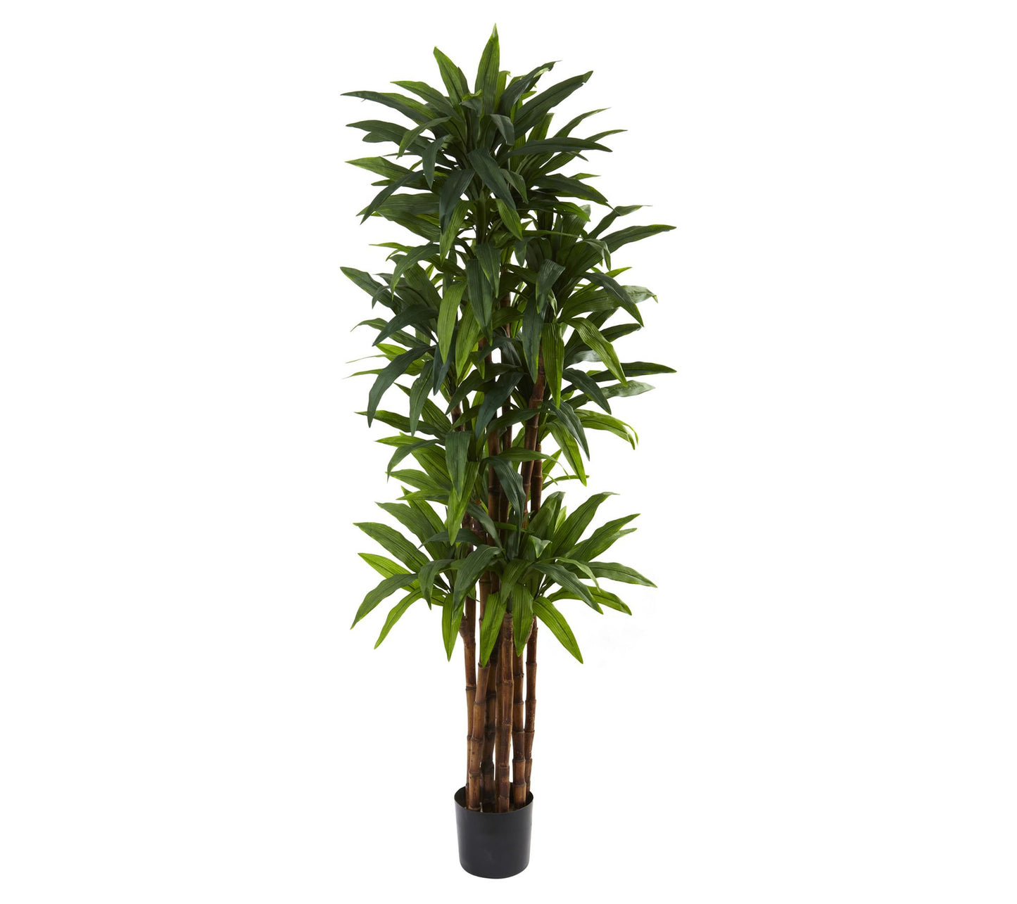 Nearly Natural 6.5' Dracaena Tree
