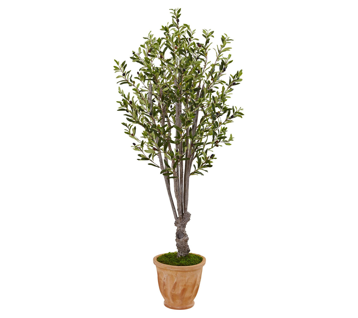 5' Olive Tree in Terra-Cotta Planter by Nearly Natural