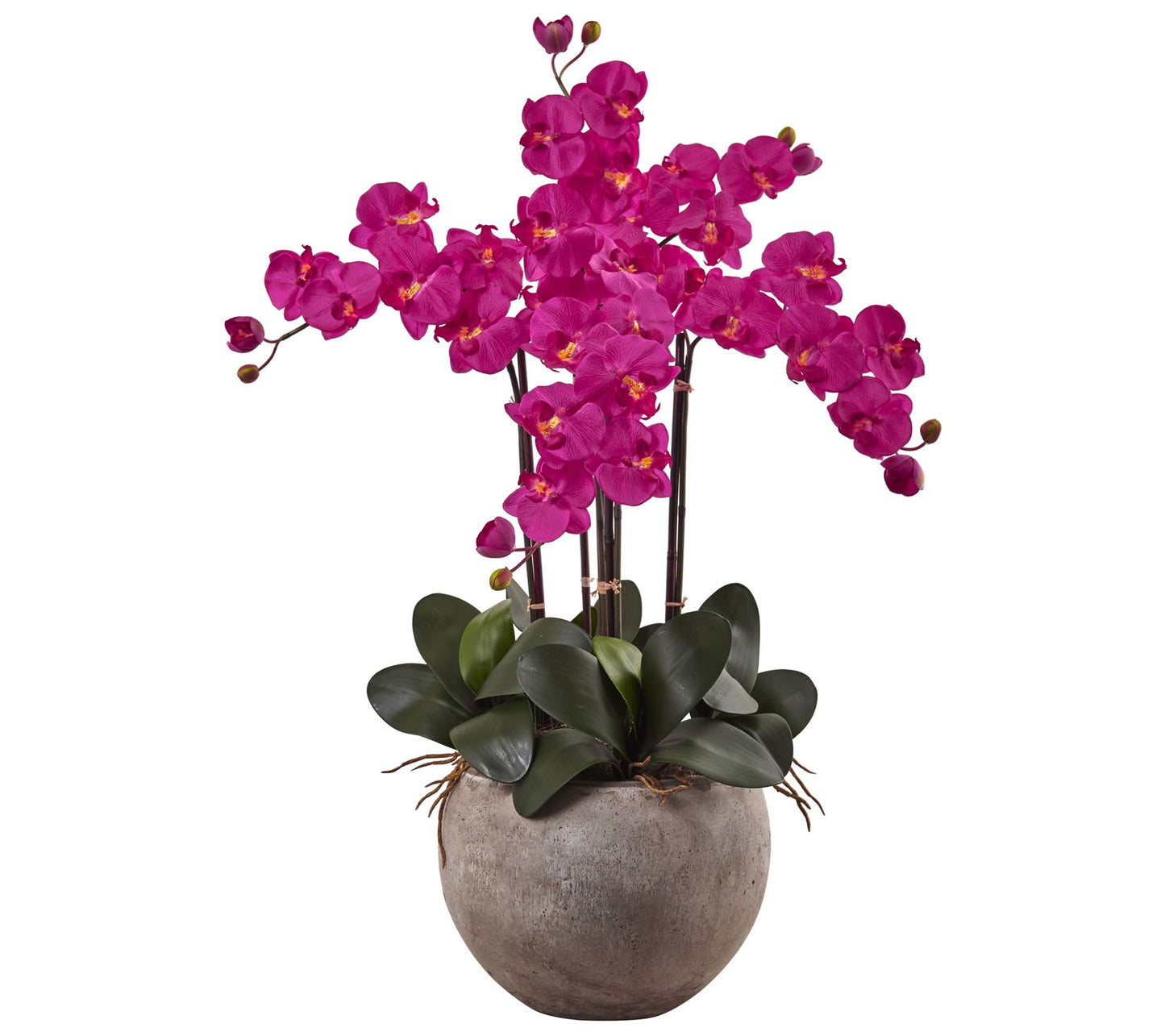 Phalaenopsis Orchid Arrangement in Bowl by Nearly Natural