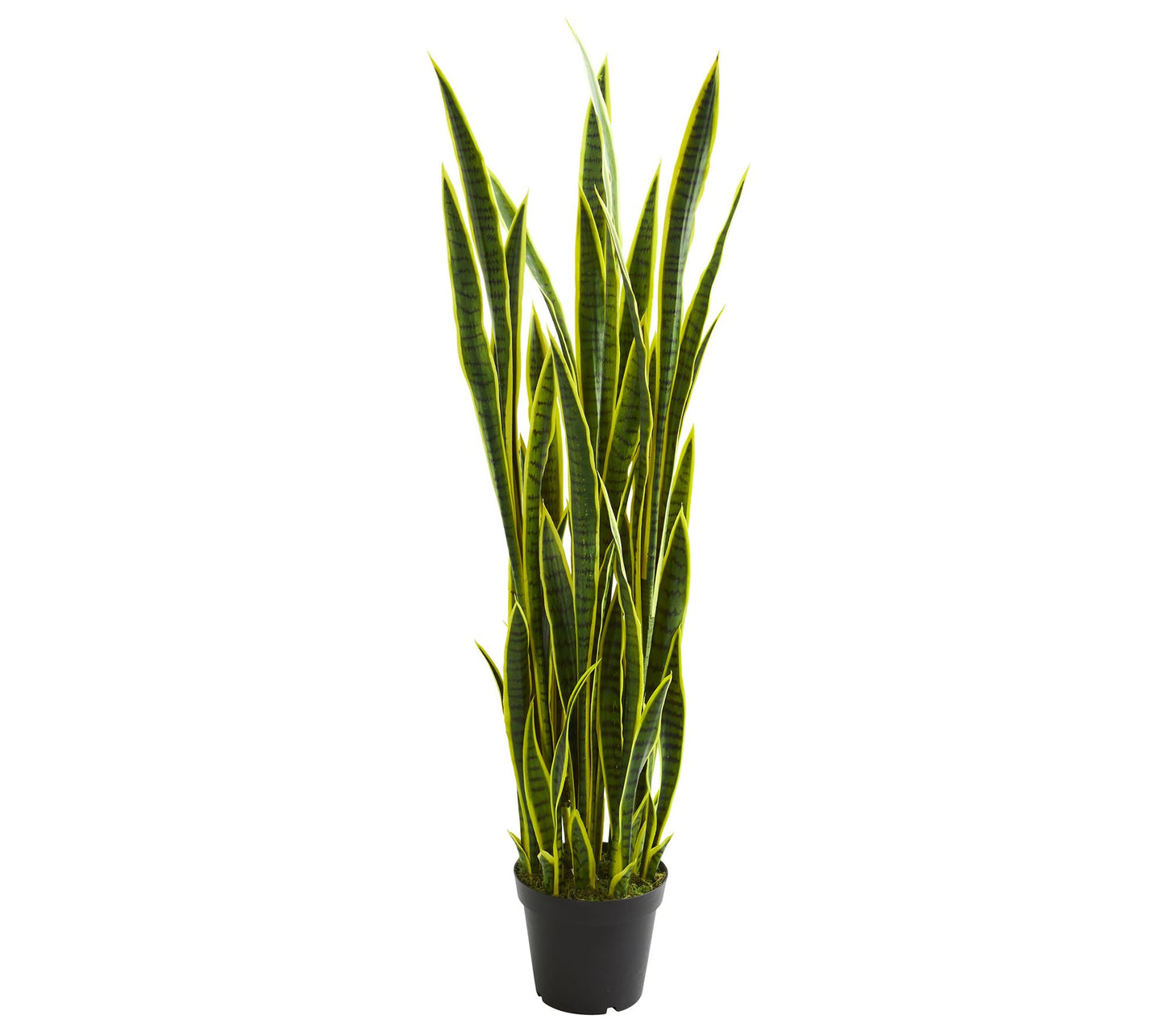 5' Sansevieria Artificial Plant by Nearly Natural