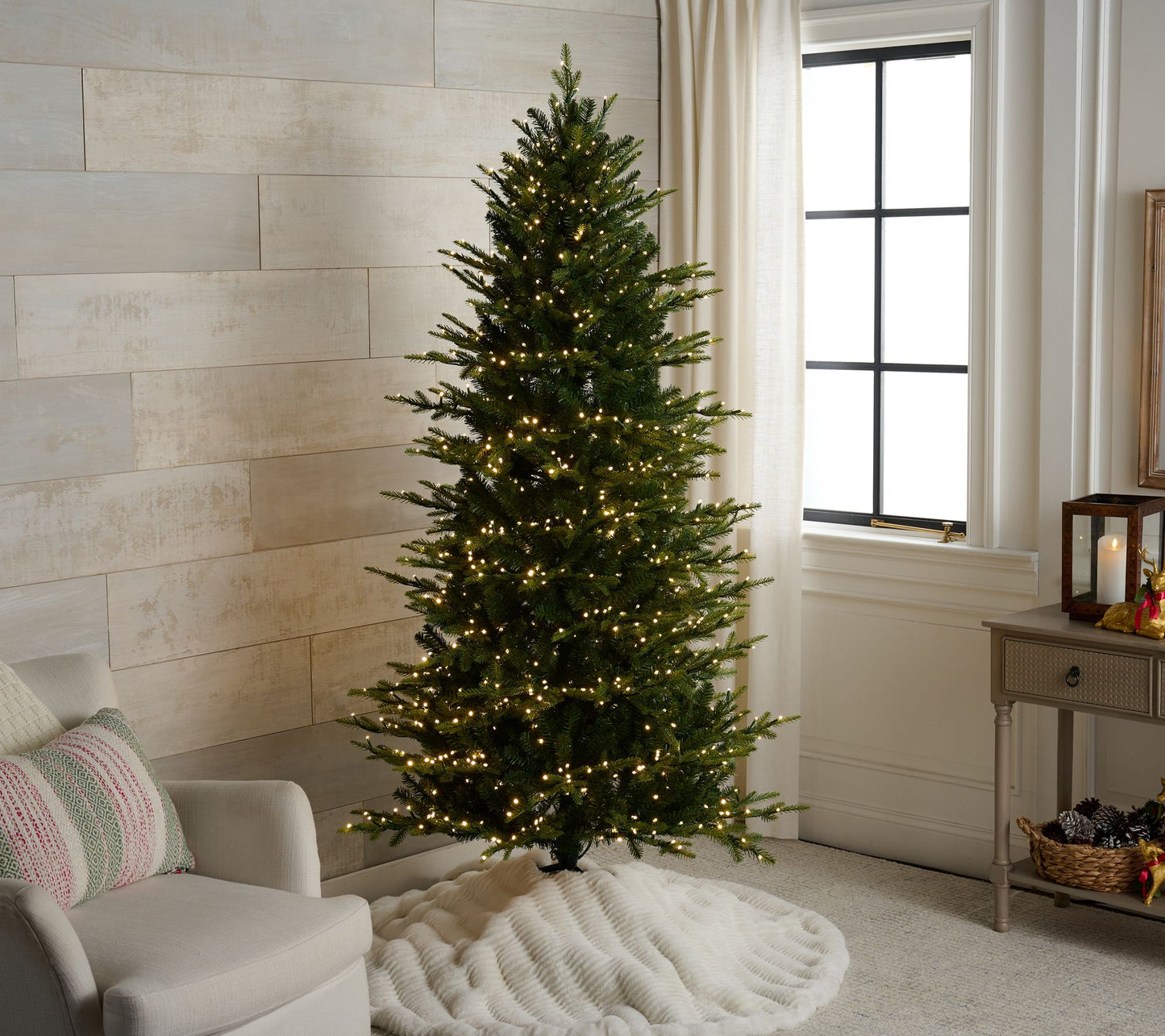 Bethlehem Lights x Alberti Popaj "Celebration" 5' Tree