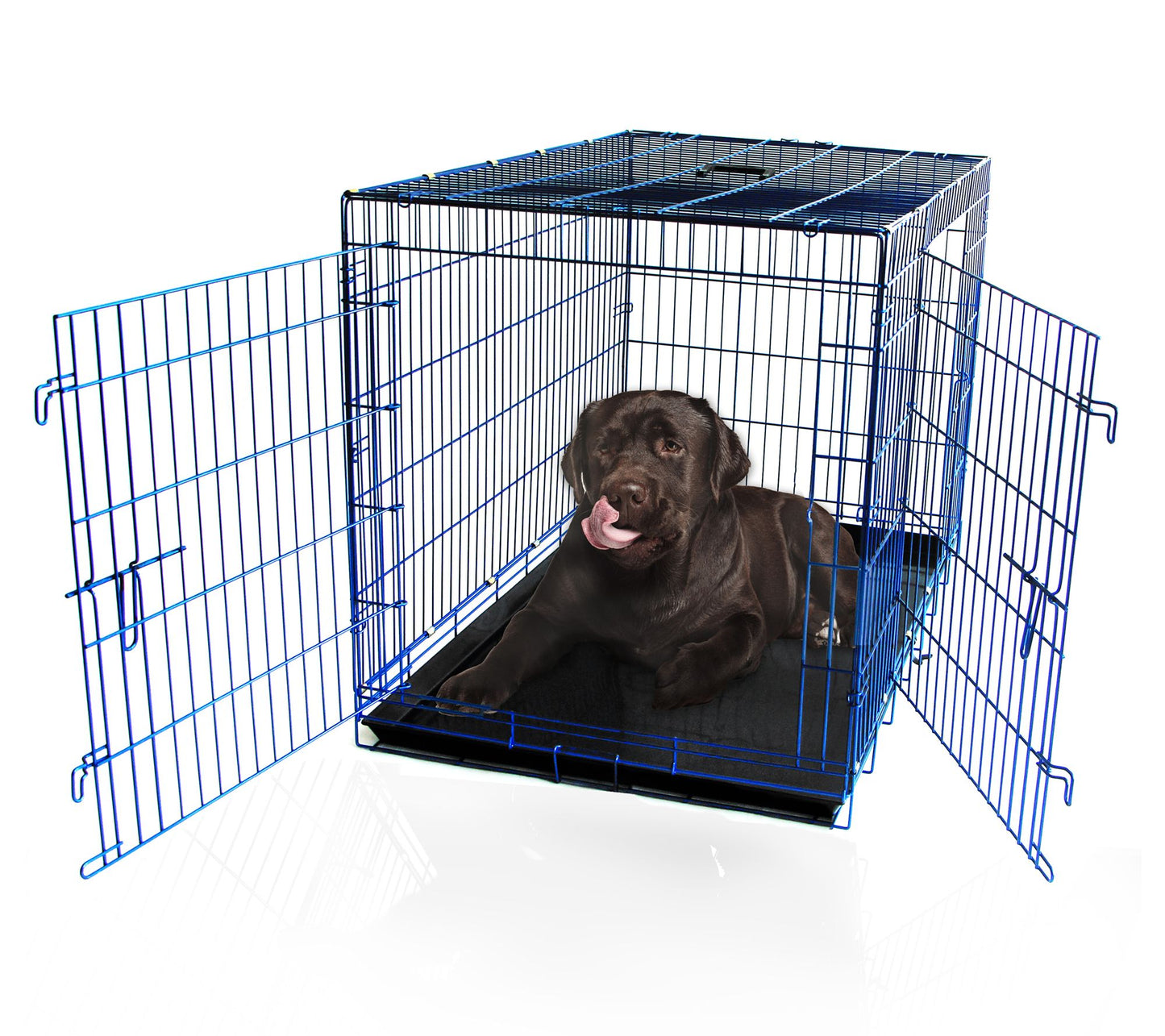Backyard Expressions 48" Double Door Wire Dog Kennel