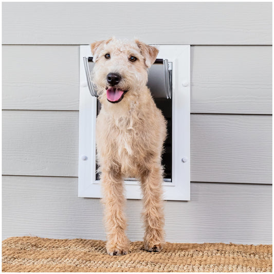 PetSafe® Wall Entry Pet Door - DIY Installation - Includes Telescoping Tunnel Medium