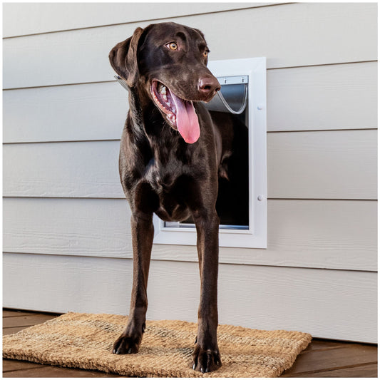 PetSafe® Wall Entry Pet Door - DIY Installation - Includes Telescoping Tunnel Small