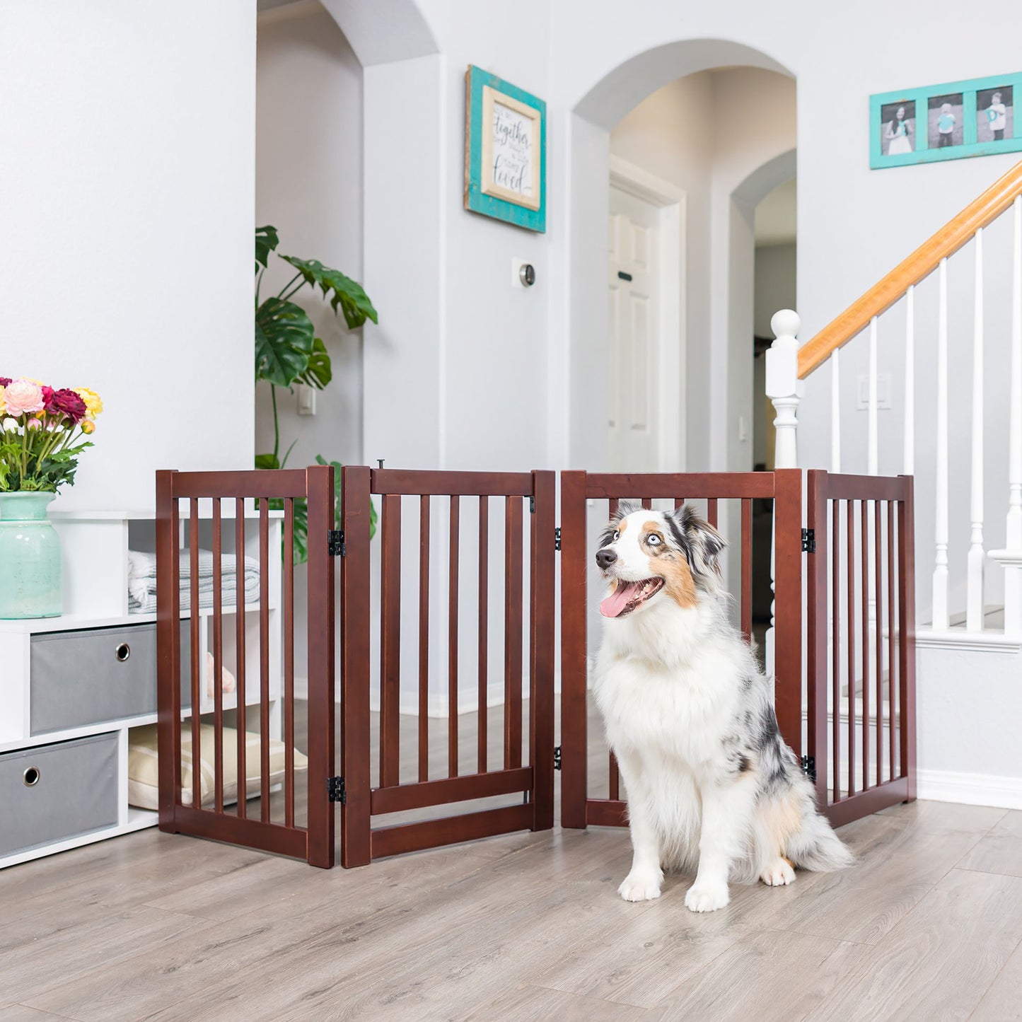 Primetime Petz 360 Configurable Gate 36" H