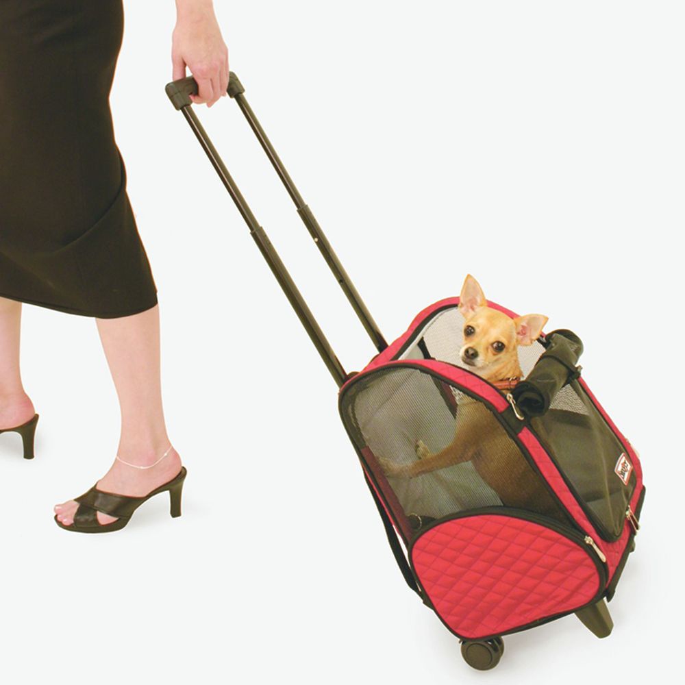 Snoozer® 4-in-1 Pet Roll Around