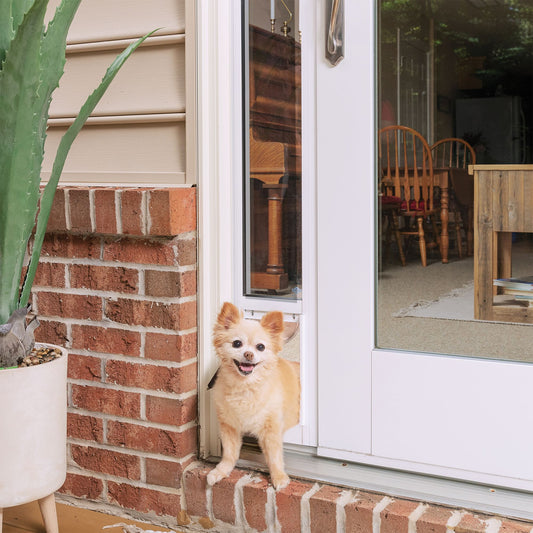 PetSafe® Sliding Glass Pet Door - Quick Installation - No Cutting Installation Large