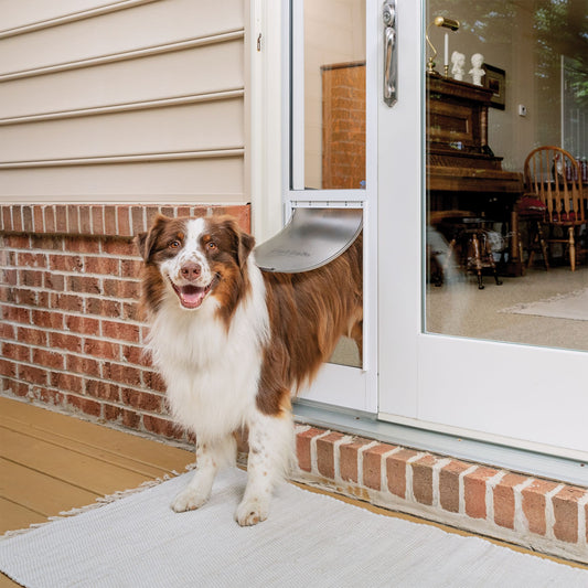 PetSafe® Sliding Glass Pet Door - Quick Installation - No Cutting Installation Small
