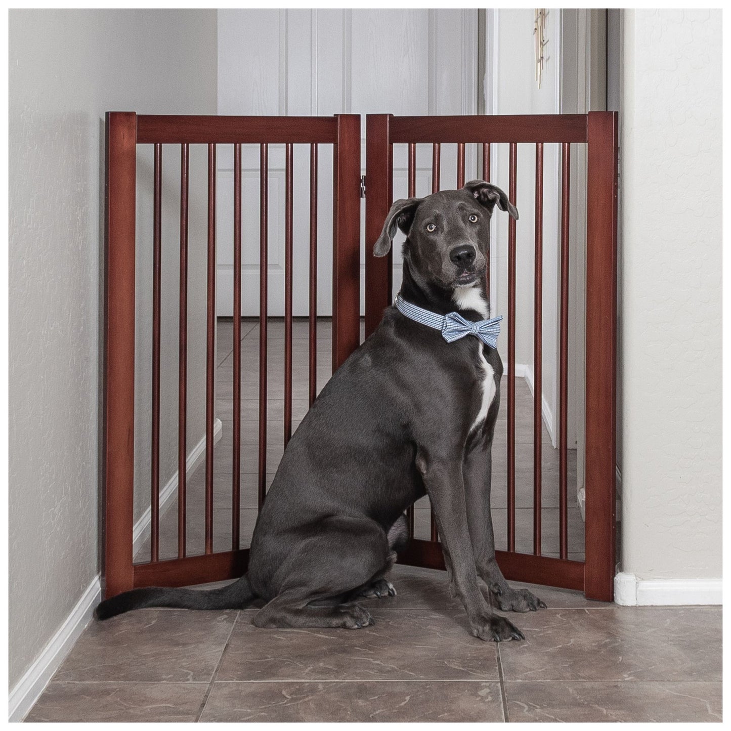 Primetime Petz 360 Configurable 2-Panel Extension Pet Gate 54"L x 24"H