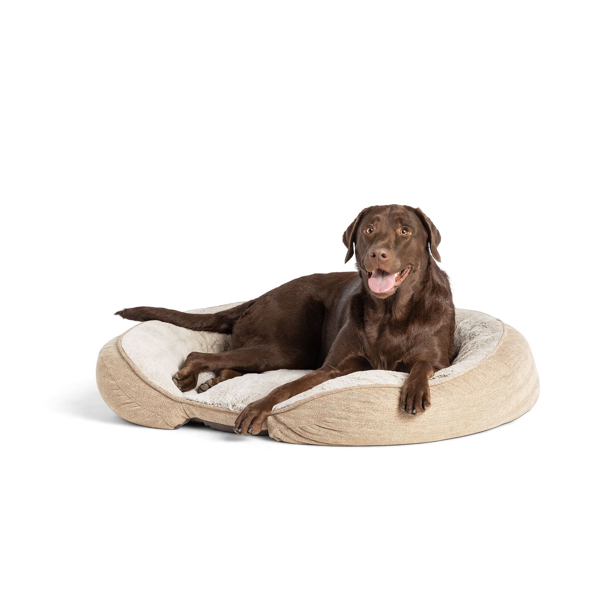 Top Paw® Orthopedic Premium Support Oval Lounger Dog Bed Large