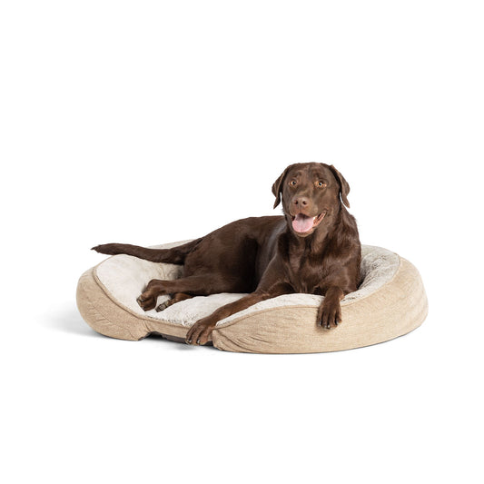 Top Paw® Orthopedic Premium Support Oval Lounger Dog Bed Large
