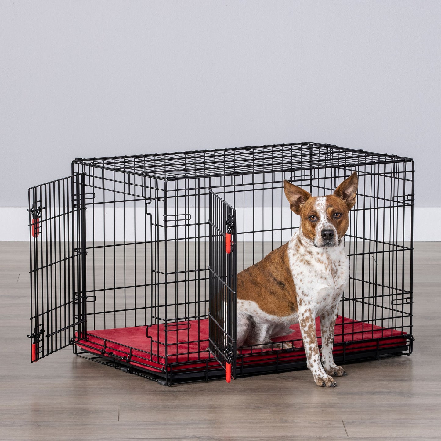 KONG® Ultra-Strong Double Door Wire Dog Crate with Divider Panel 42"L x 29"W x 31"H