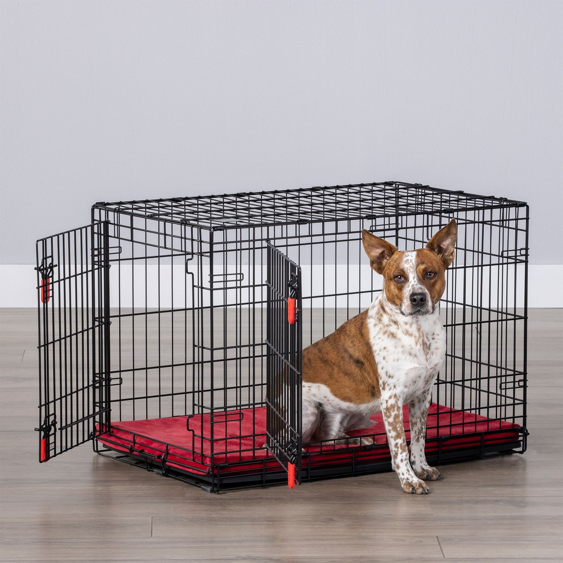 KONG® Ultra-Strong Double Door Wire Dog Crate with Divider Panel 42"L x 29"W x 31"H