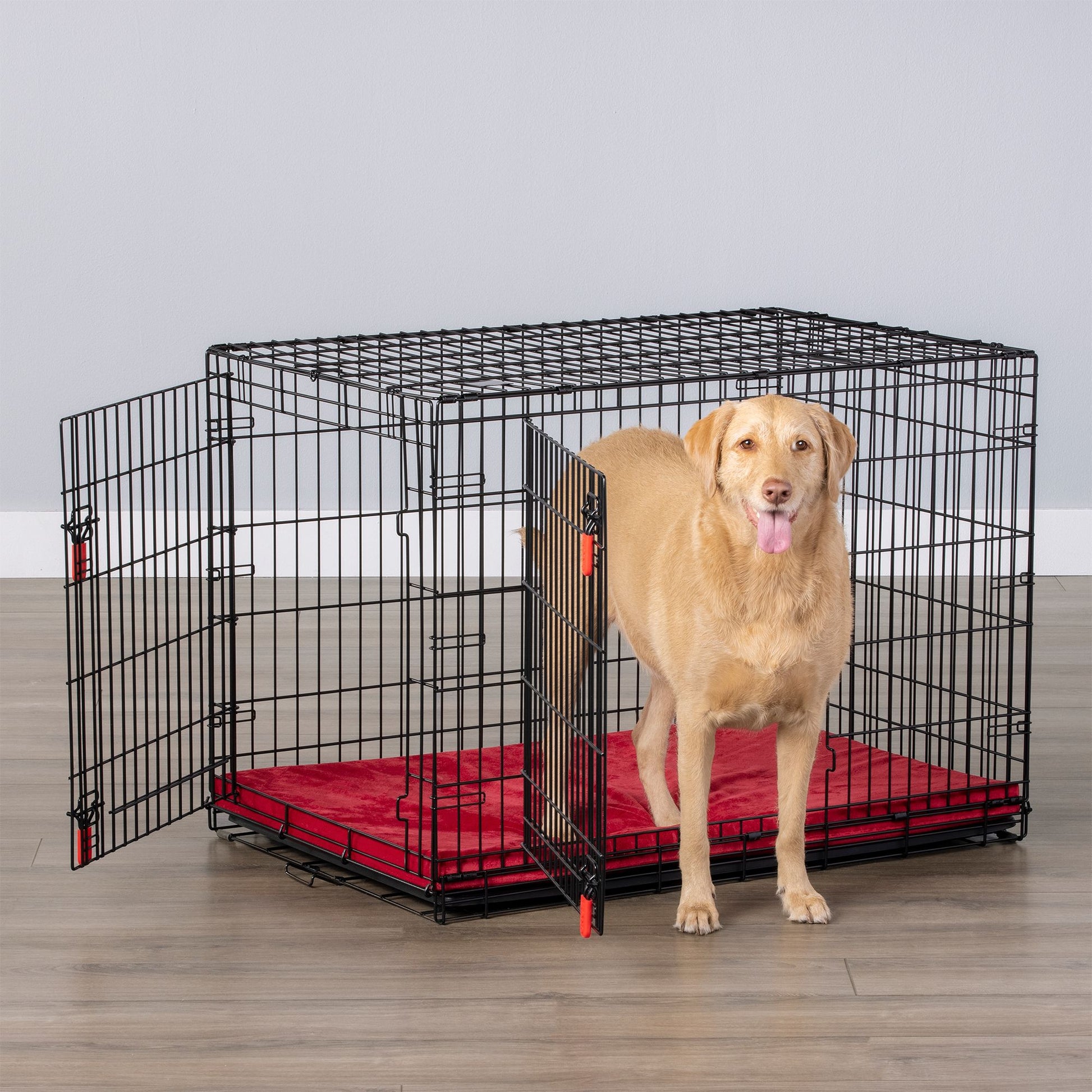 KONG® Ultra-Strong Double Door Wire Dog Crate with Divider Panel 36"L x 23"W x 25"H