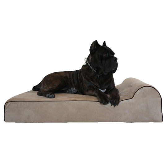 Bully Beds Orthopedic, Washable & Waterproof Big Dog Bed 34"L x 22"W x 4"H