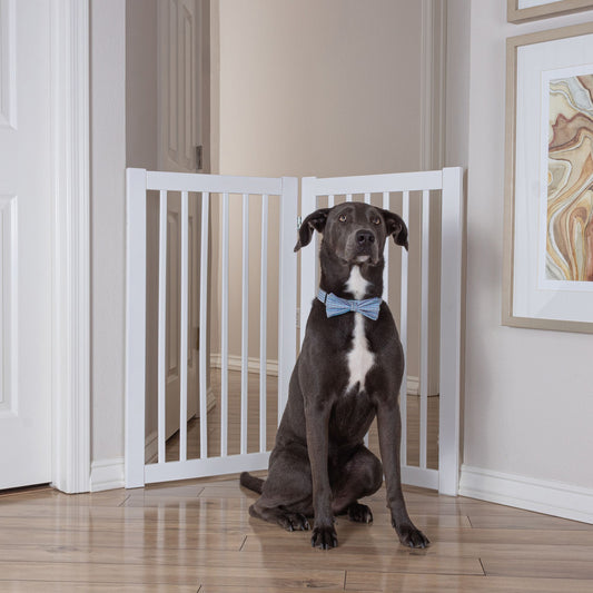Primetime Petz 360 Degree Configurable Pet Gate Extension Kit 54"L x .75"W x 24"H
