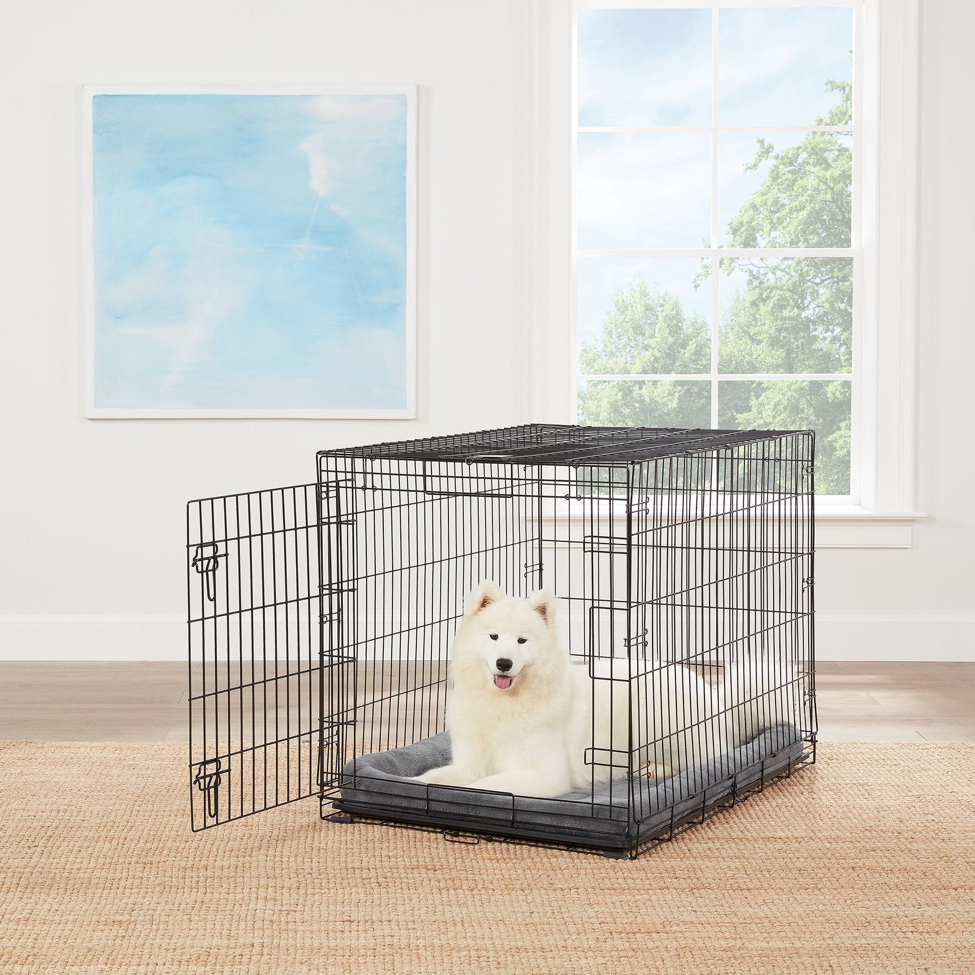 Top Paw® Single Door Folding Wire Dog Crate 18"L x 12"W x 14"H