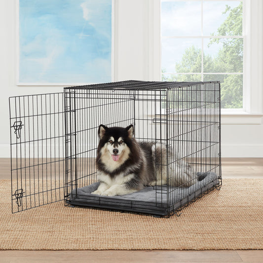 Top Paw® Single Door Folding Wire Dog Crate 24"L x 18"W x 19"H