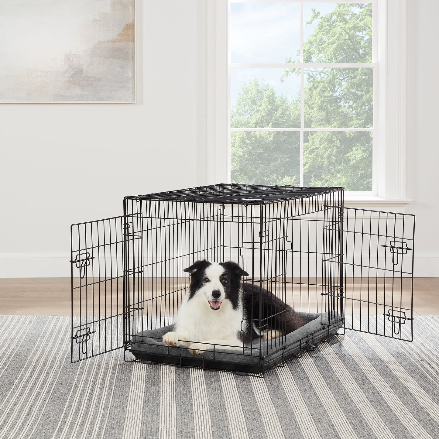 Top Paw® Double Door Folding Wire Dog Crate with Divider Panel 36"L x 23"W x 25"H