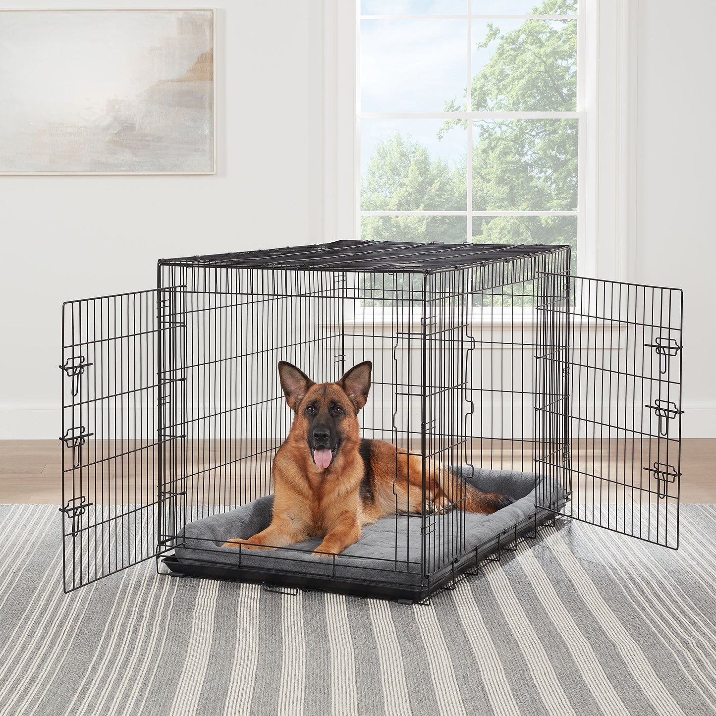 Top Paw® Double Door Folding Wire Dog Crate with Divider Panel 24"L x 18"W x 19"H