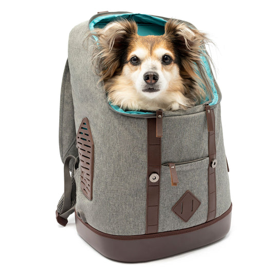 Kurgo® K9 Rucksack - Heather Grey