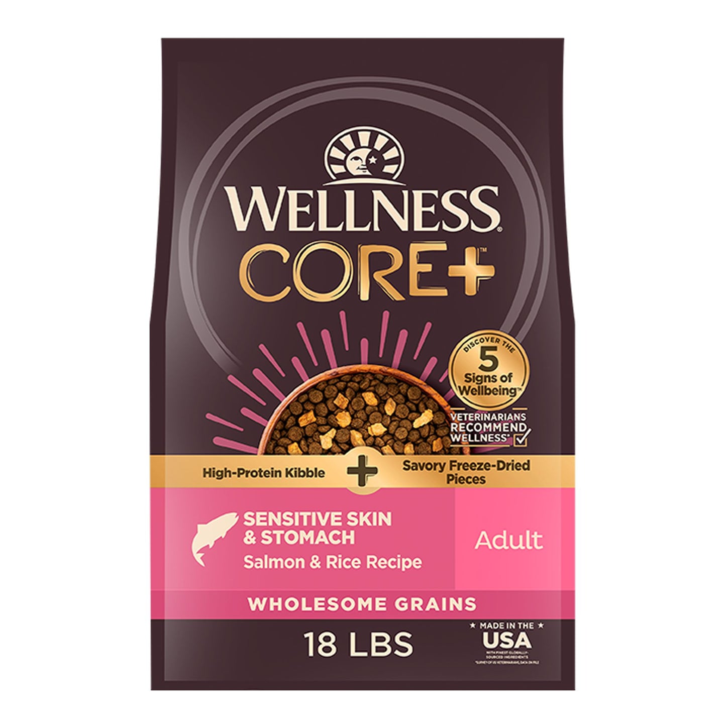Wellness CORE+ Sensitive Skin & Stomach Adult Dry Dog Food - Salmon & Rice 4 Lb