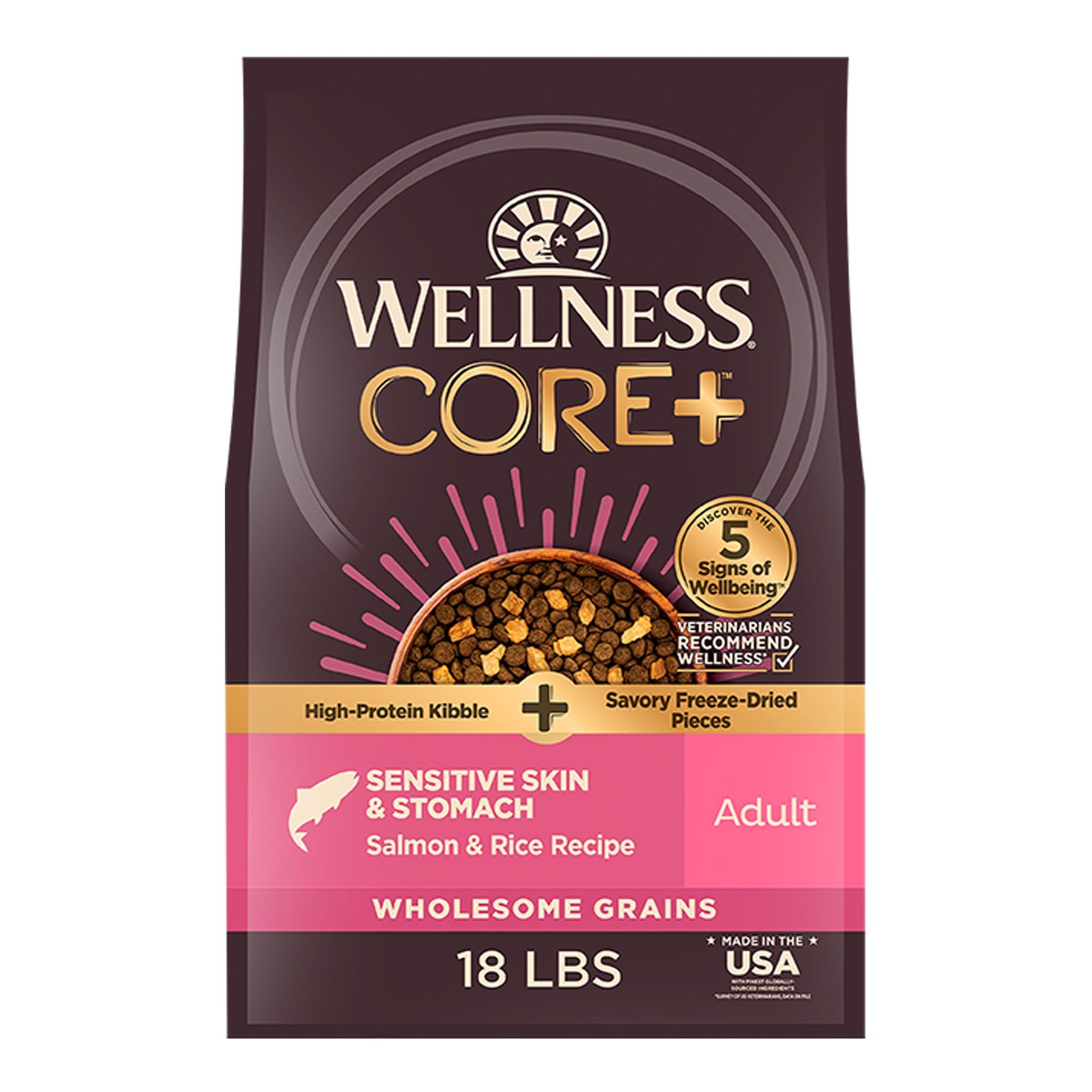 Wellness CORE+ Sensitive Skin & Stomach Adult Dry Dog Food - Salmon & Rice 4 Lb