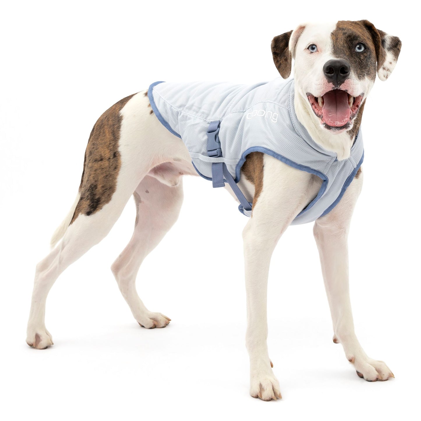 Kurgo® Core Cooling Dog Vest Medium