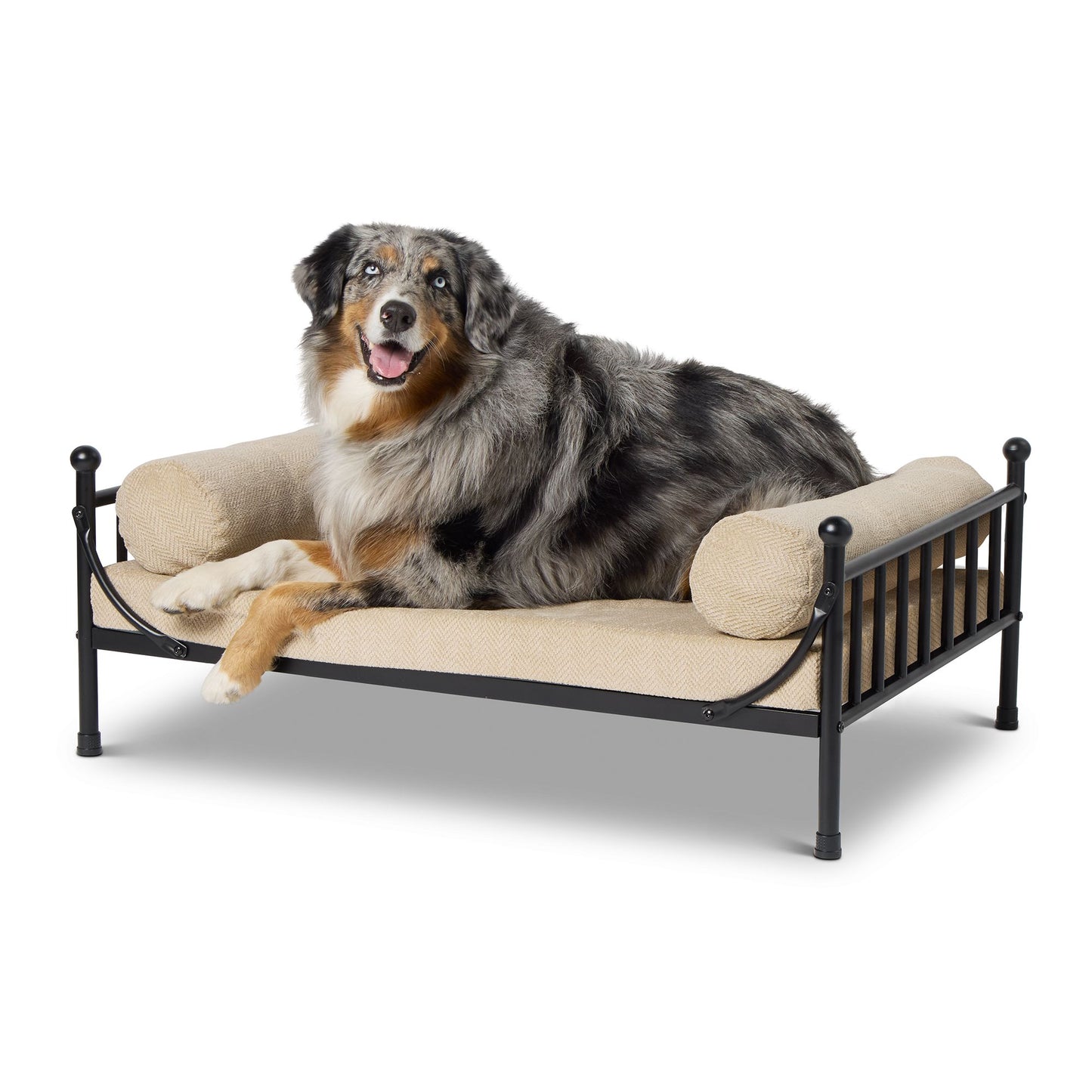 Top Paw® Elevated Dog Bed 25"L x 19"W