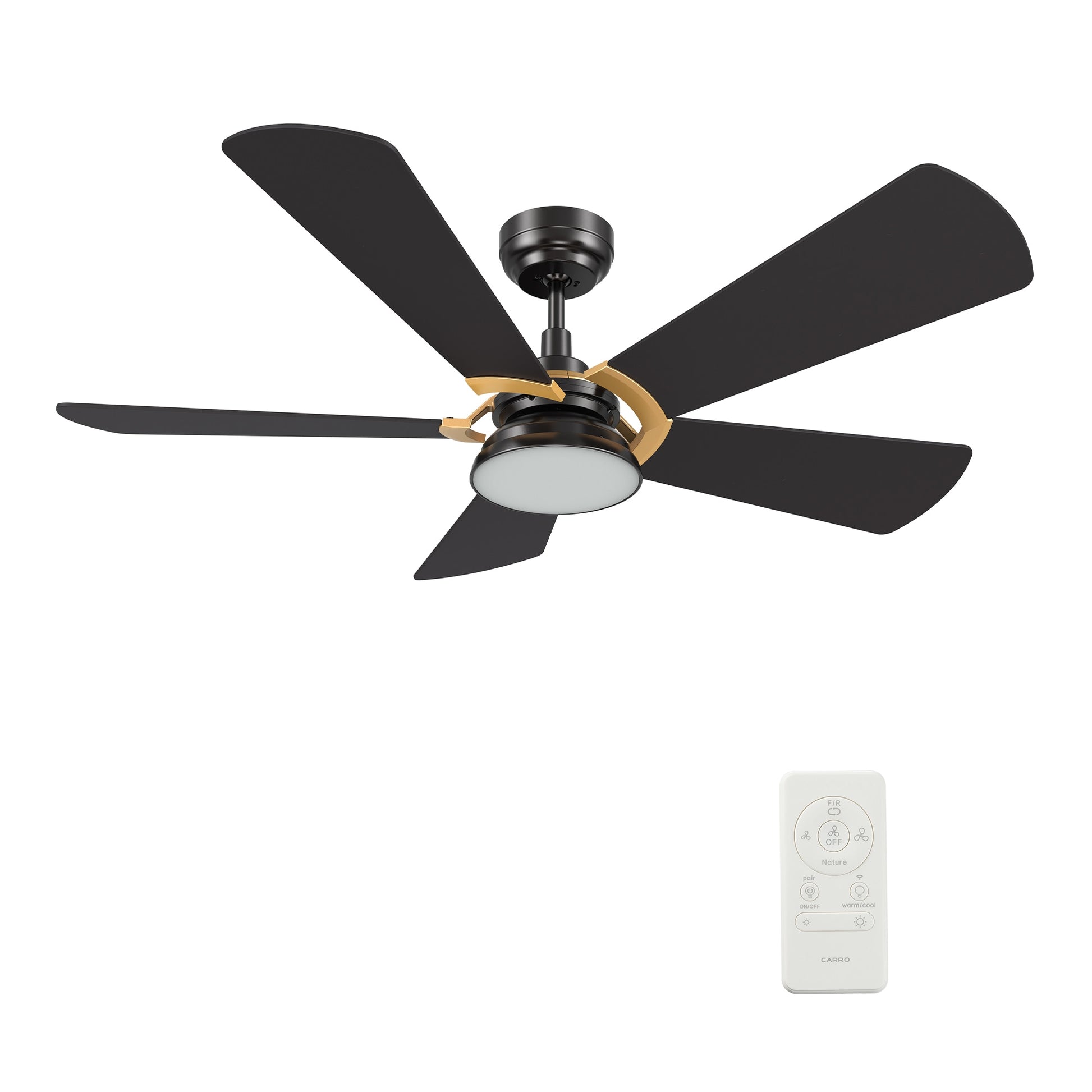 CARRO USA Bradford 52-in Black Indoor/Outdoor Smart Ceiling Fan with Light and Remote (5-Blade) LS525B6-L12-B2-1G