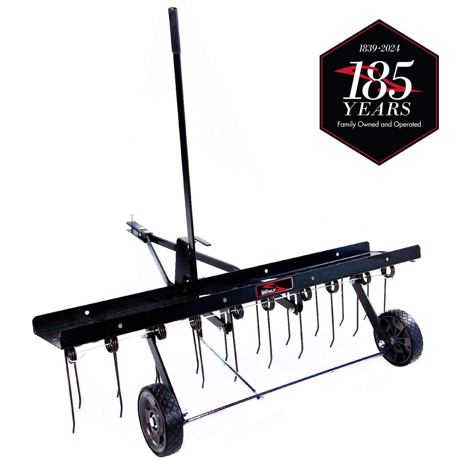 Brinly 40-Inch Tow-Behind Dethatcher with Adjustable Tine Depth and Replaceable Tines, Steel Frame, Pneumatic Wheels DT2-40BH-G