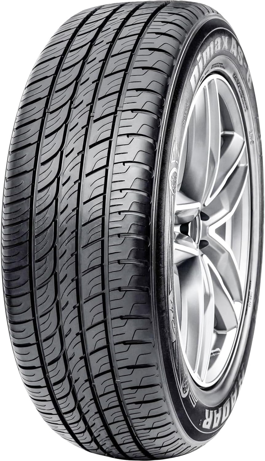 Radar Dimax AS-8 225/65R16 100H All Season Radial Tire