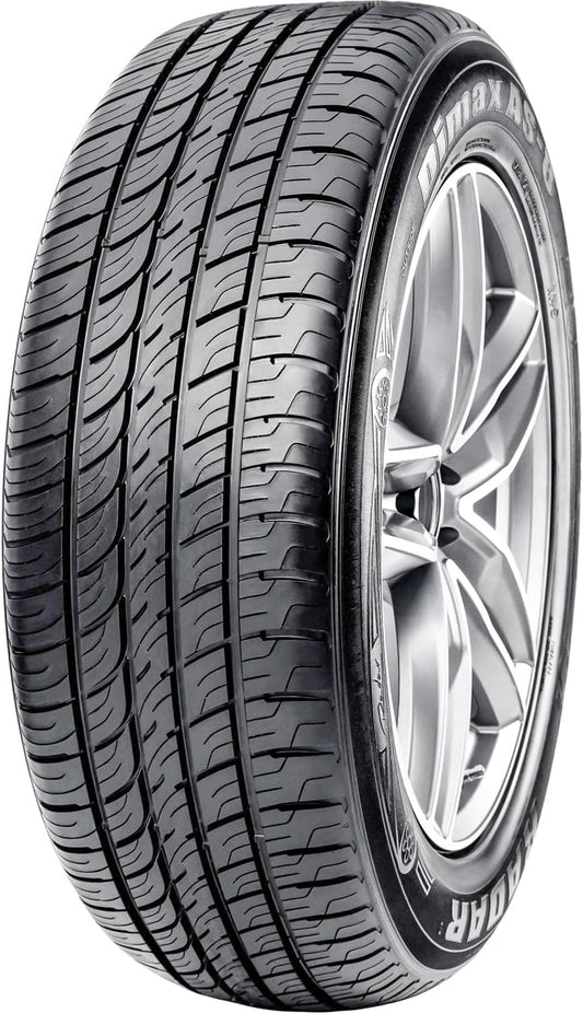 Radar Dimax AS-8 225/65R16 100H All Season Radial Tire