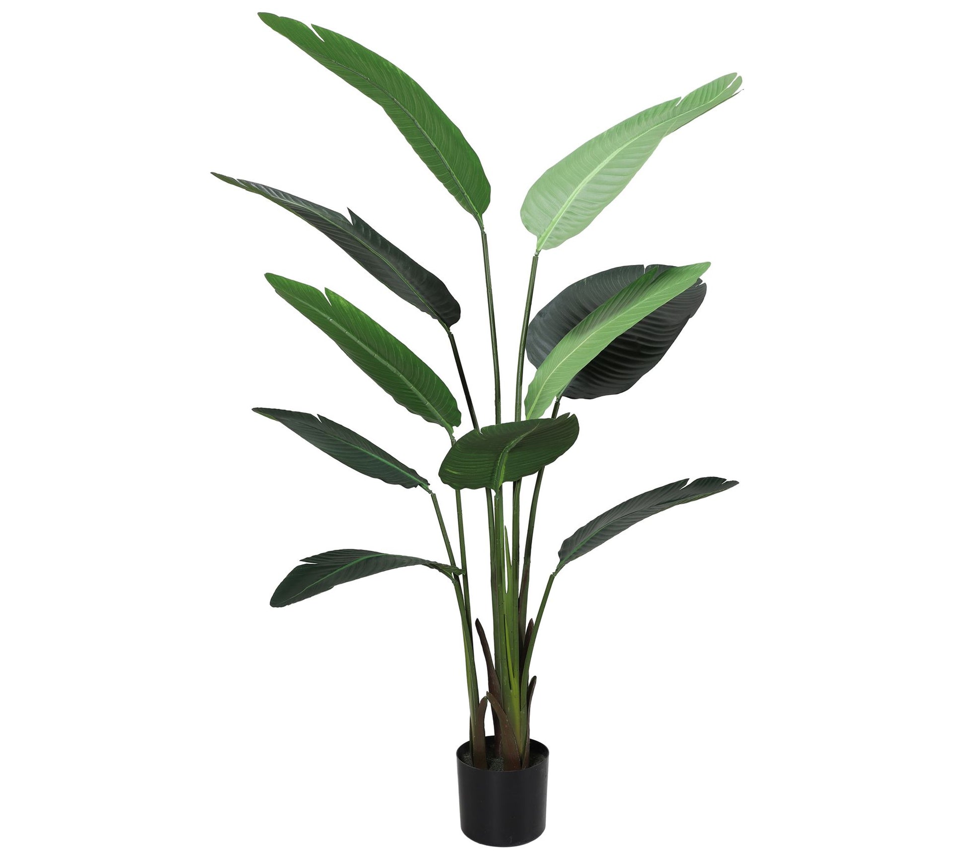 Puleo International 63" Artificial Travellers P alm Tree