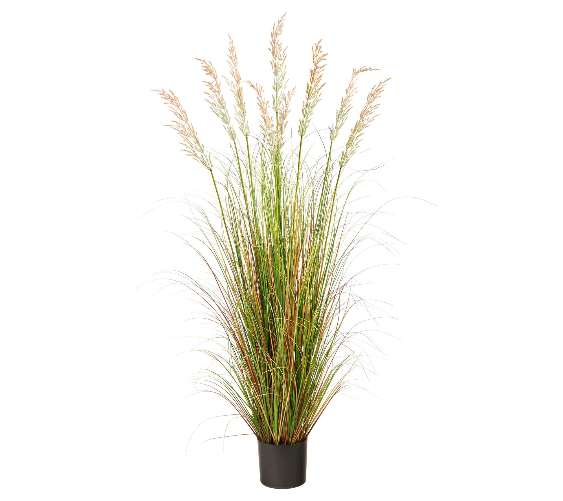 Nearly Natural 5.5' Plum Grass Artificial Plant