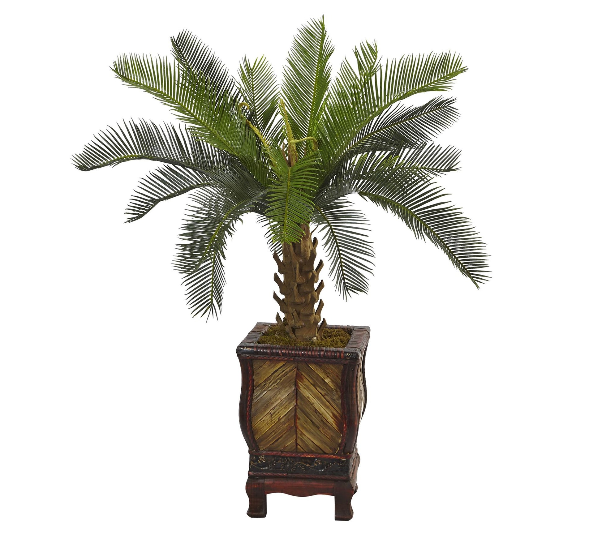 Nearly Natural 3' Cycas Tree in Wood Planter