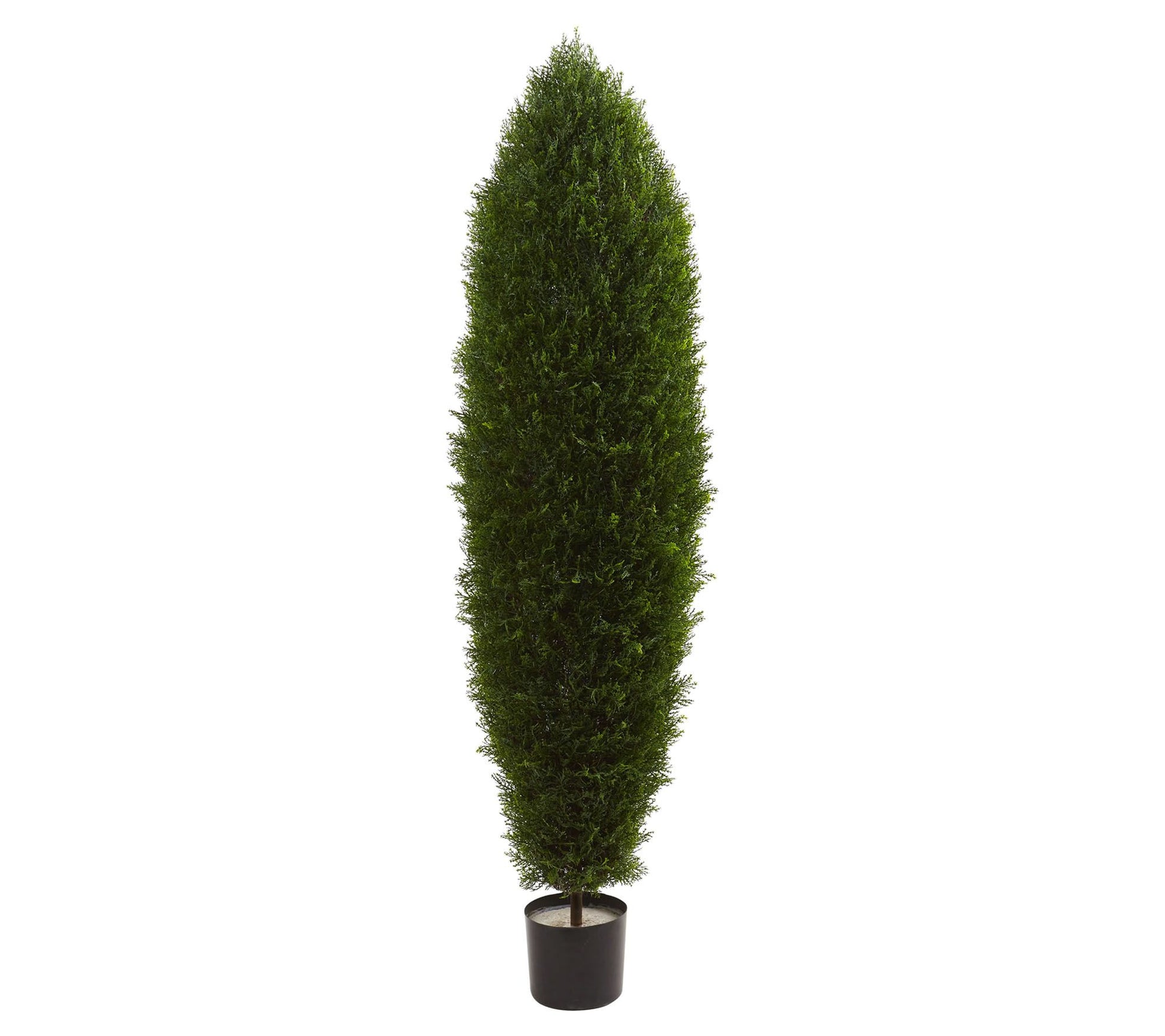 5' Cypress Tree by Nearly Natural