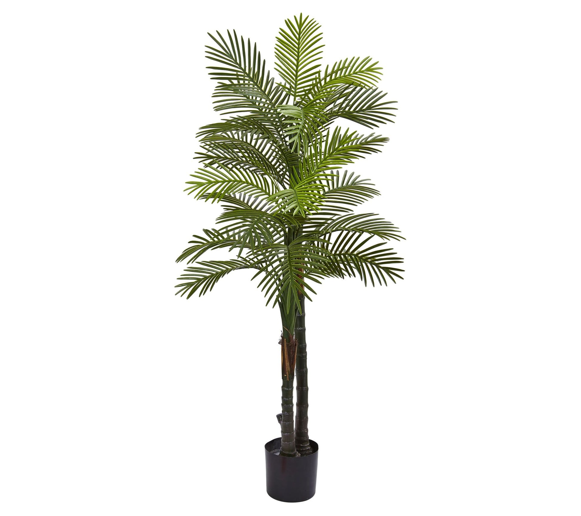 5.5' Double Robellini Palm Tree by Nearly Natural