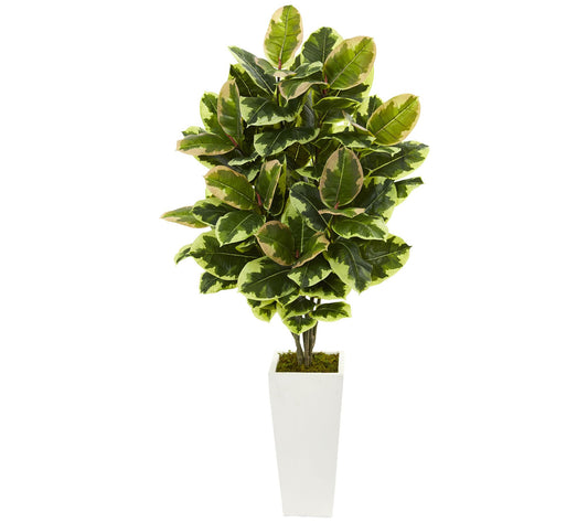 Variegated Rubber Leaf Plant in Tower Vase by Nearly Natural