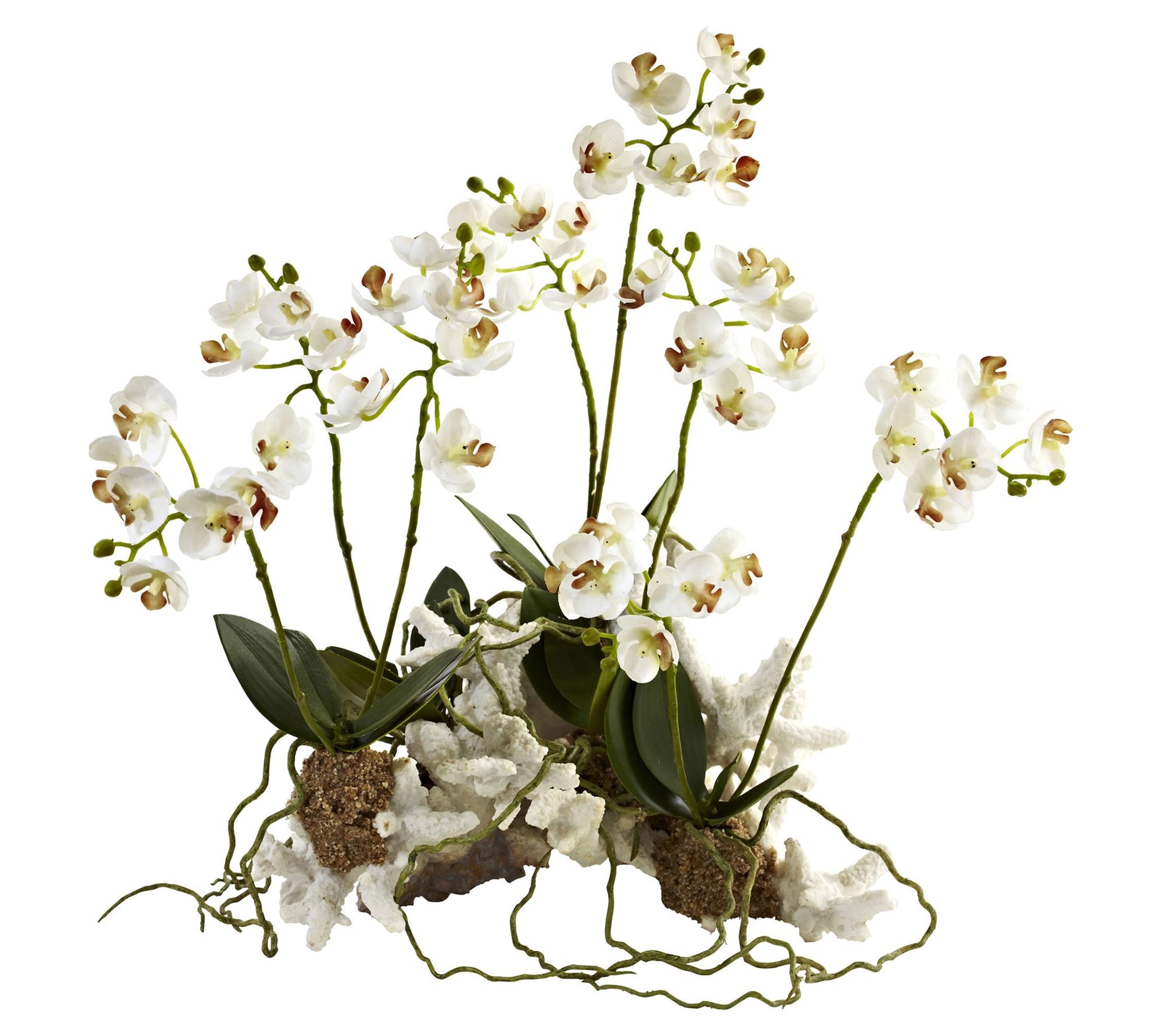 Mini Phalaenopsis Set on Coral by Nearly Natural