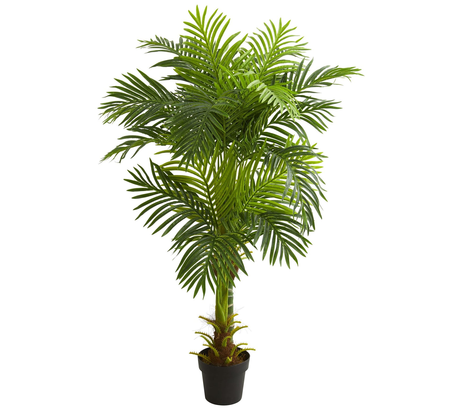 5' Double Stalk Hawaii Palm Tree by Nearly Natural