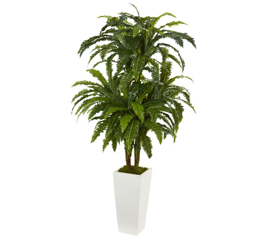 Marginatum Plant in White Tower Planter by Nearly Natural