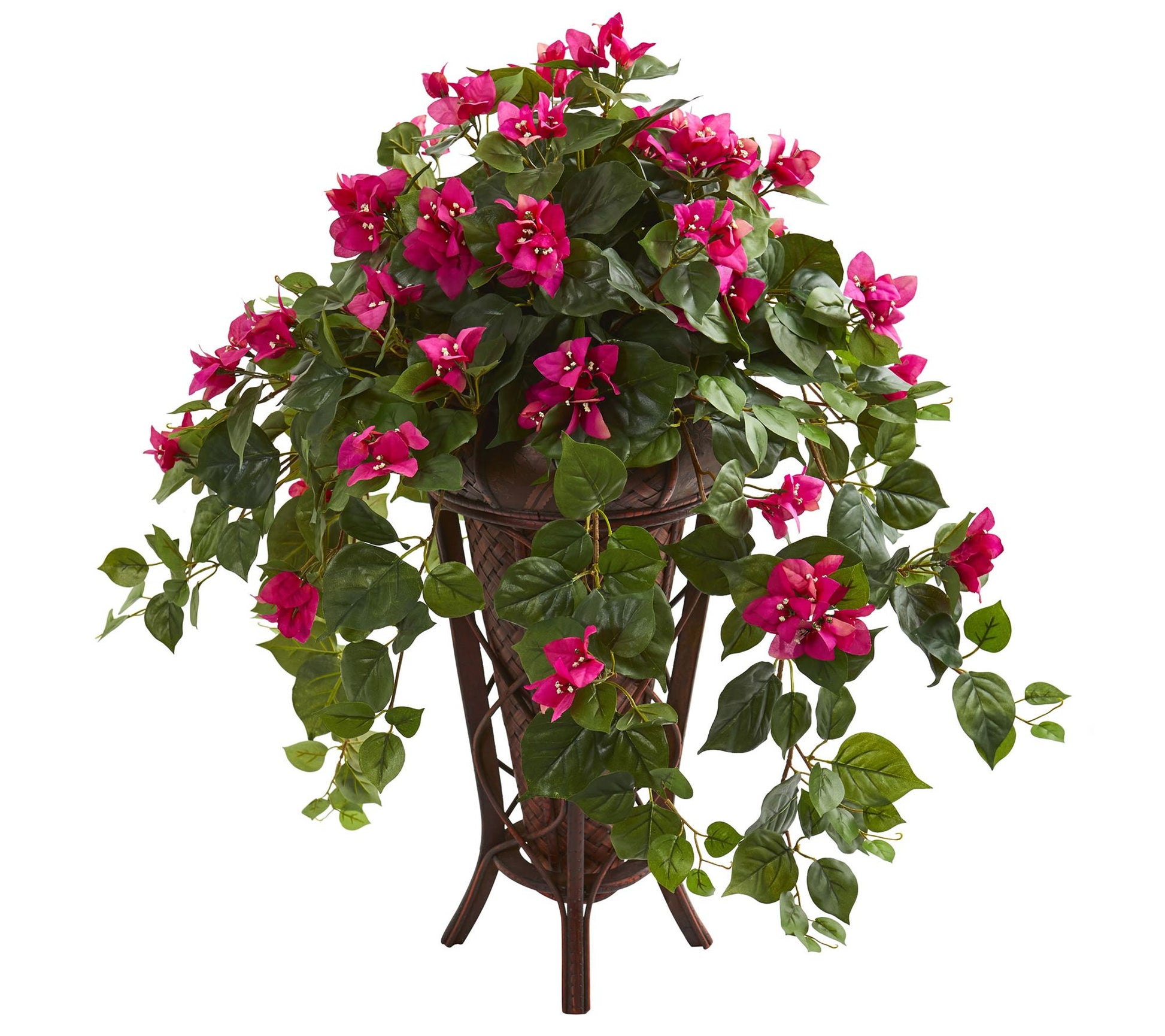 Bougainvillea Plant in Stand Planter by Nearlyatural