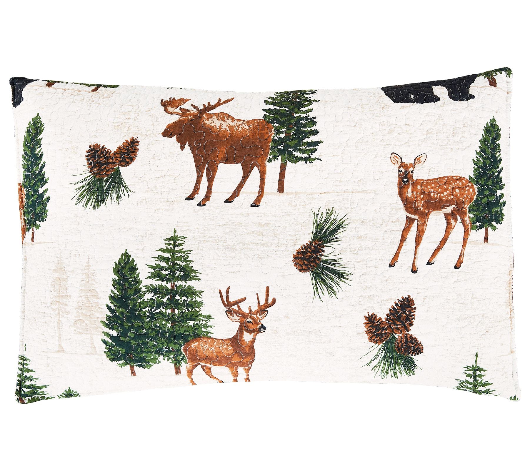 Noland Pines 2-Piece Cotton Twin Quilt Set by Valerie