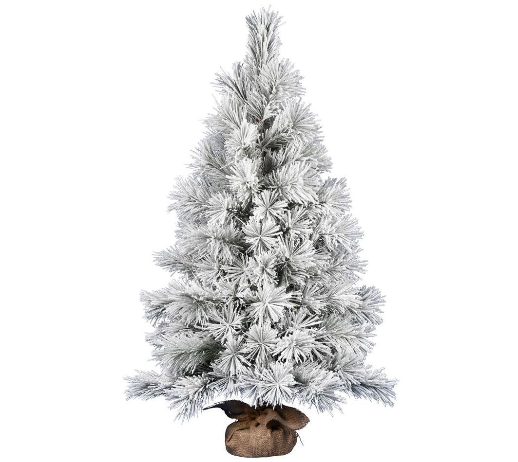 Vickerman 48" Frosted Beckett Pine Tree