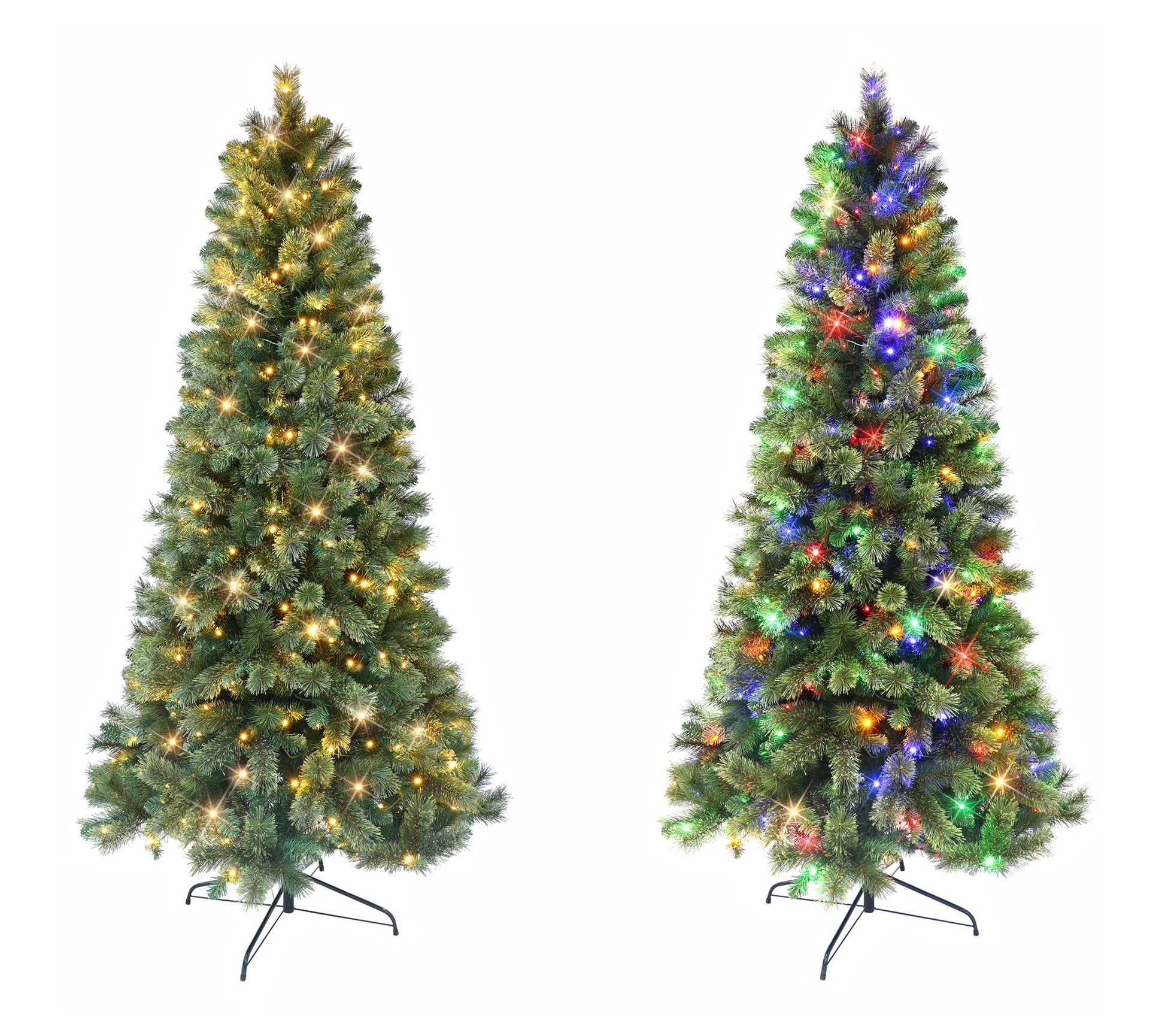 Puleo 6' Pre-Lit Montana Pine Tree, 250 Color-Select LED