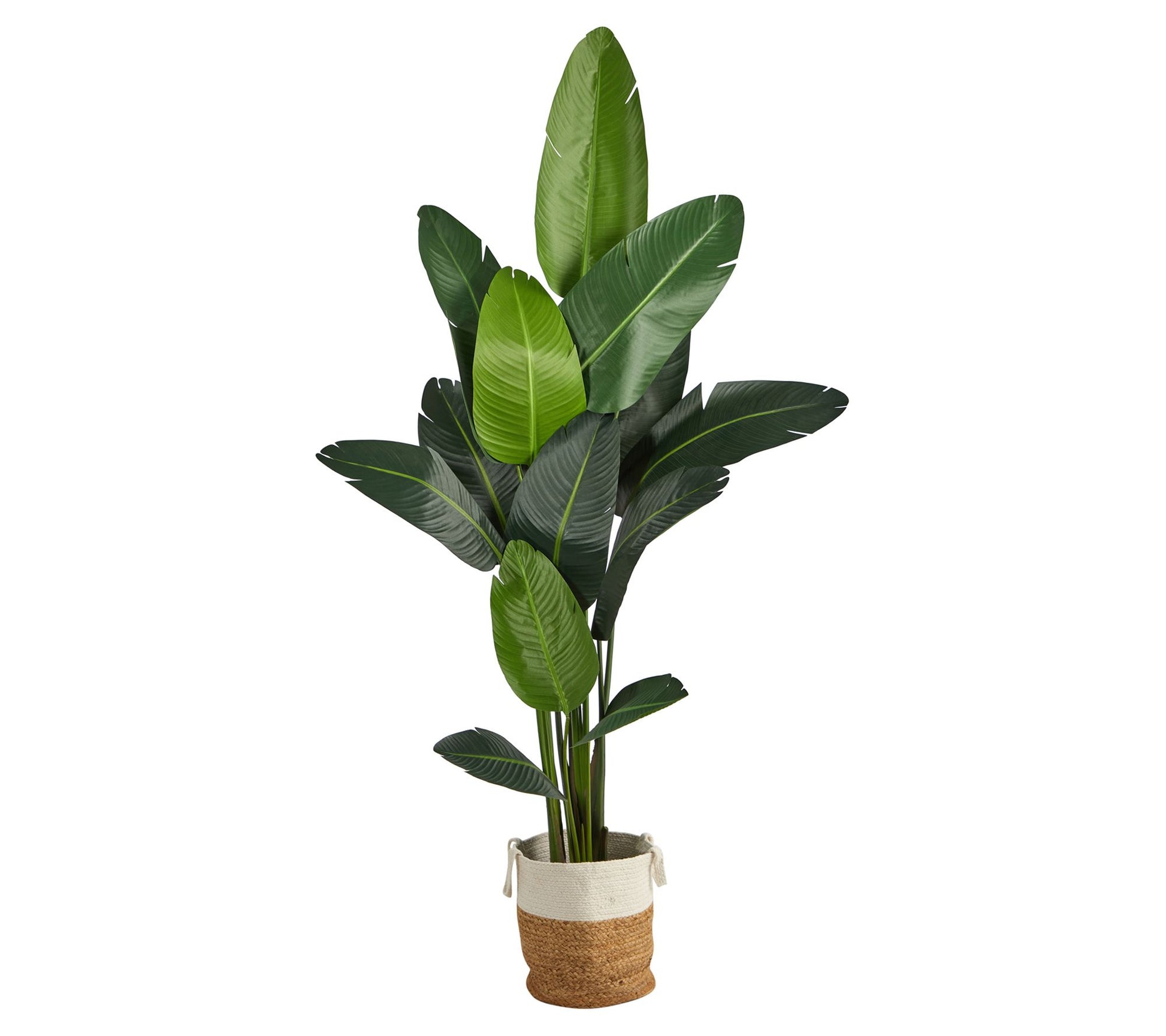 Nearly Natural 7-ft Artificial Travelers Palm Tree with Baske